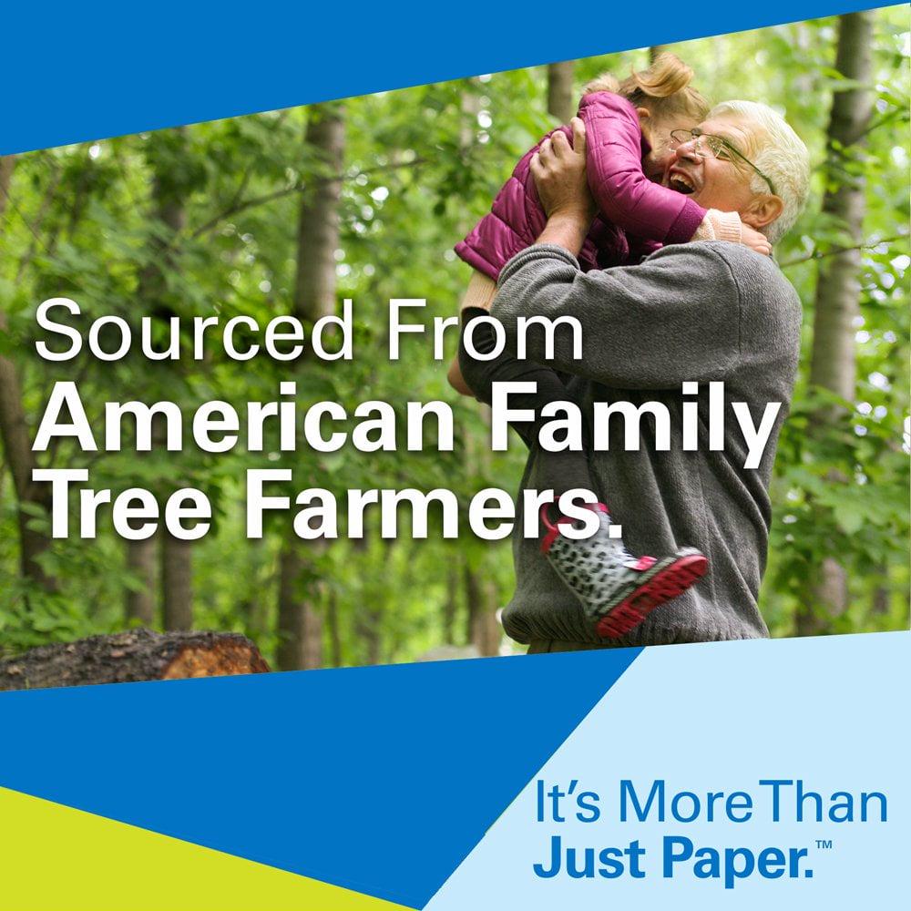 Hammermill Paper, Tidal Printer Paper, 8.5 x 11 Paper, 3 Hole, 20lb, 92 Bright - 1 Express Pack / 2,500 Sheets (163130C) - Image 5