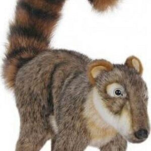 COATIMUNDI, BABY 12L