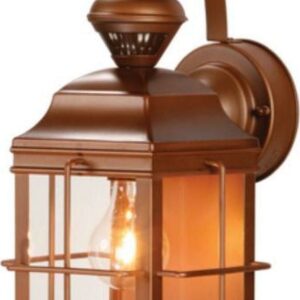 Heath Zenith DualBrite HZ-4144-AZ Motion Activated Decorative Light 120 V Incandescent Lamp