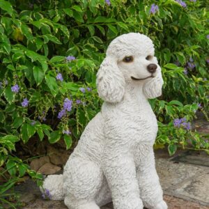 Hi-Line Gifts Sitting Poodle Outdoor Garden Statue - 19"