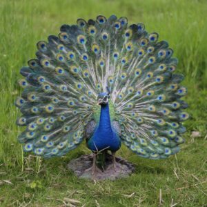Hi-Line Gift Ltd. Peacock W/Feathers Out Statue