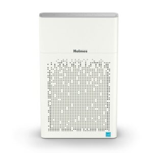 Holmes Console Air Purifier, Allergen Remover, Removes 99.7% of Pollutants, for Large Rooms, Featuring HEPA Technology
