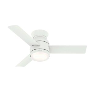 Hunter Fan Company Dublin 44" Ceiling Fan w/ Lights & Remote Control, White