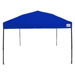 Impact Canopy 10' x 10' Canopy Tent, UV Coated, Black Steel Framed