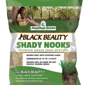 Black Beauty 25lb Shady Grass Seed 11960