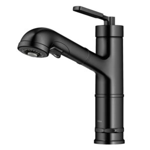 KRAUS Allyn Pull-Out Single Handle Kitchen Faucet in Spot-Free Black Stainless Steel