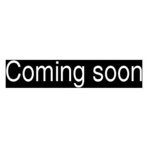 LEGO Friends Heartlake Dog Show