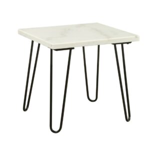 ACME Telestis 22" Square Marble Top End Table in White and Black
