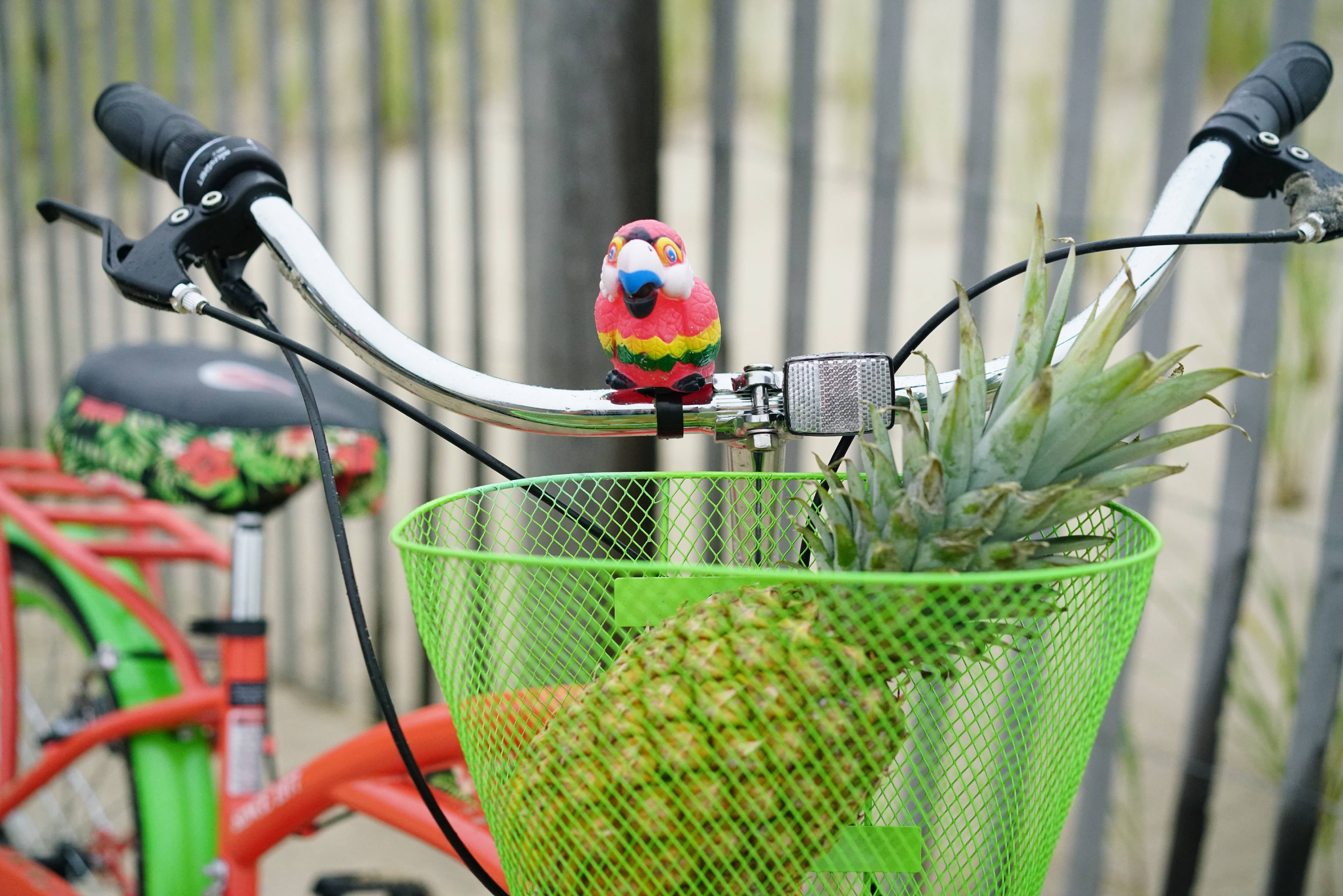 Margaritaville 24" Island Life Multi Speed Girl's Bike, Coral/Green - Image 4