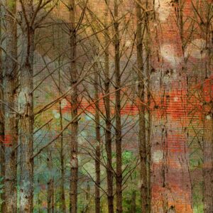 Marmont Hill "Through the Trees" by Jen Lee Painting Print on Wrapped Canvas