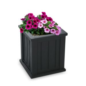 Cape Cod 16" x 16" x 18" Square Black Self-Watering Plastic Planter