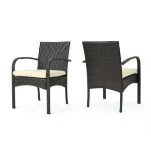 Christopher Knight Home Cordoba Resin Wicker Outdoor Dining Chairs with Cushions (Set of 2) by Brown