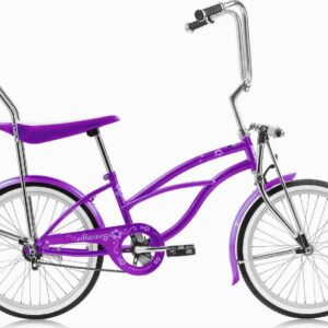 Micargi HERO 20" Beach Cruiser Coaster Brake Single Speed with Banana Seat Stainless Steel Spokes One Piece Crank Alloy Rims 36H Color: Purple