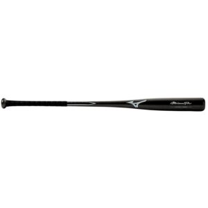 Mizuno Mizuno Pro Carbon Fungo Bat
