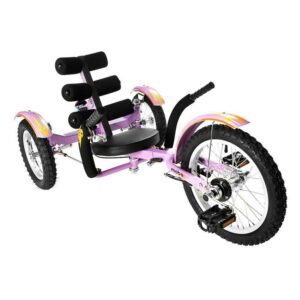 Mobo Mobito: The Ultimate 3-Wheeled Cruiser, Youth