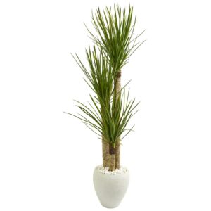 Nearly Natural 5.5' Yucca Artificial Tree in White Planter, Green