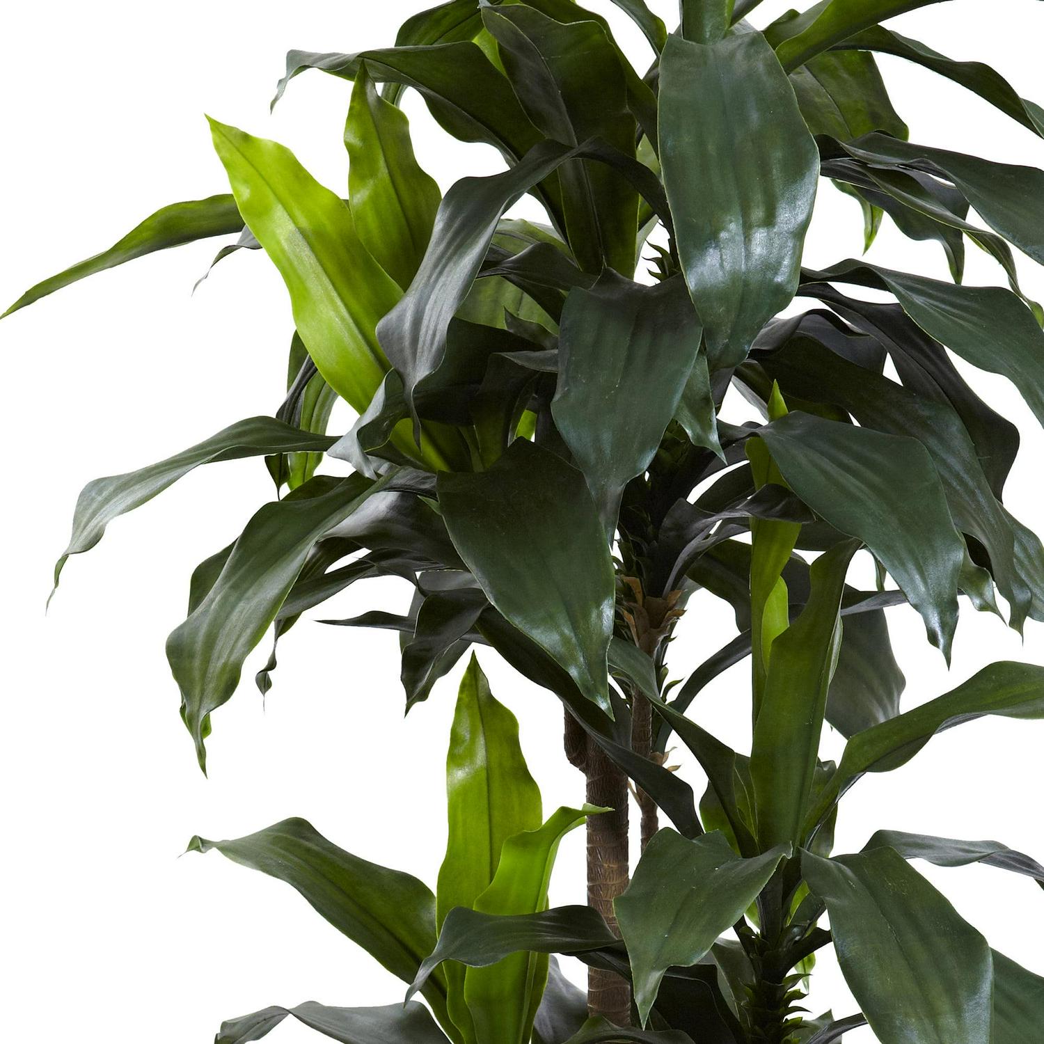 Nearly Natural 5' Dracaena Plastic Artificial Plant UV Resistant (Indoor/Outdoor), Green - Image 2