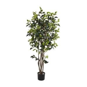 5' Ficus Bushy Silk Tree