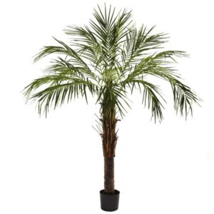 Nearly Natural 6' Robellini Palm Artificial Tree