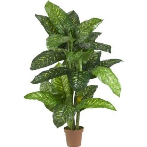 Nearly Natural 5' Dieffenbachia Artificial Plant (Real Touch), Green