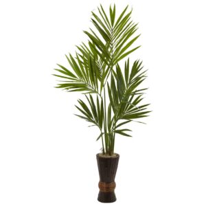 6" Kentia Tree w/Bamboo Planter