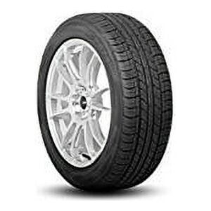 Nexen CP672 All Season 225/55R17 97H Passenger Tire