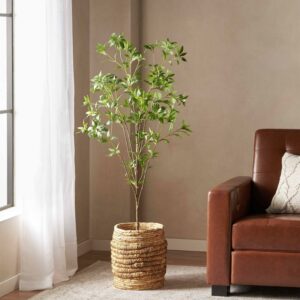 Noble House Hartshorn 5' x 2' Artificial Pieris Tree, Green