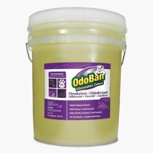 Concentrated Odor Eliminator and Disinfectant, Lavender Scent, 5 gal Pail