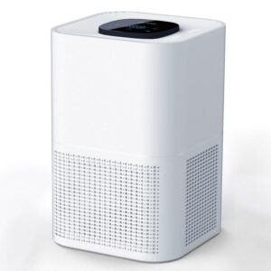 Olansi HEPA Air Purifier for Bedroom, H13 True Filter, 24H Timer, Quiet Sleep Mode,White