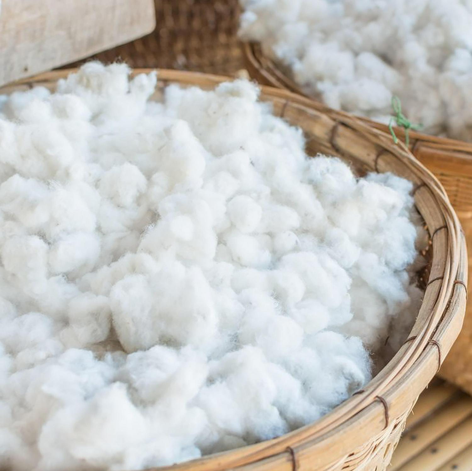 Organic Dream Certified Organic Cotton Lightweight 2-Stage Crib & Toddler Mattress - Image 4