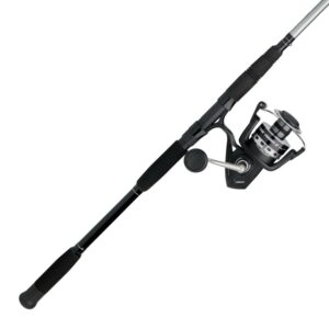 PENN Pursuit® IV Combo, 10' Heavy Fishing Rod, 8000 Size Reel