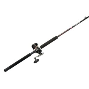 PENN Warfare™ Level Wind Combo, 6'6" Medium Fishing Rod, 20 Size Reel