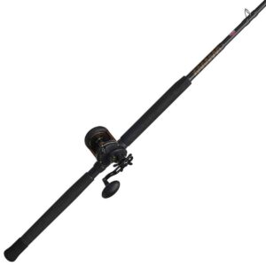 PENN Squall® II Star Drag Combo, 7' Medium Fishing Rod, 30 Size Reel