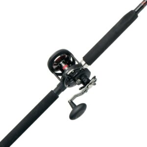 PENN Warfare™ Star Drag Fishing Combo, 7' Medium, 30 Size Reel