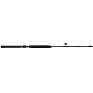 PENN Ally™ II Boat Conventional Rod, 6' Heavy Fishing Rod