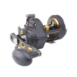 PENN Fathom™ II Star Drag Casting Special Reel, 15 Size Fishing Reel