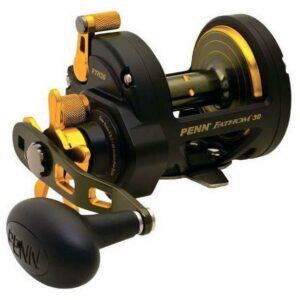 PENN Fathom™ II Star Drag Reel Reel, 30 Size Fishing Reel