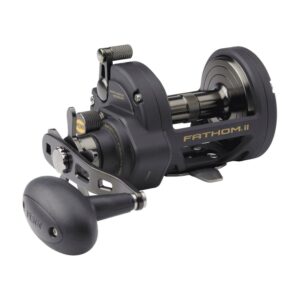 PENN Fathom II Star Drag Reel, Size 40 Fishing reels