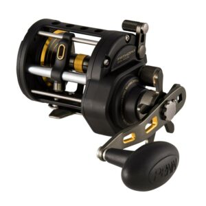 PENN Fathom™ II Level Wind Reel, 20 Size Fishing Reel, Left Hand