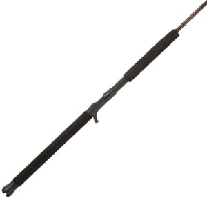 PENN Rampage® Jig Conventional Rod, 5'8" Heavy Fishing Rod