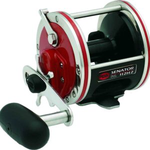 PENN Special Senator® Star Drag Reel, 114W Size Fishing Reel