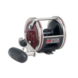 PENN Special Senator® Star Drag Reel, 112 Size Fishing Reel