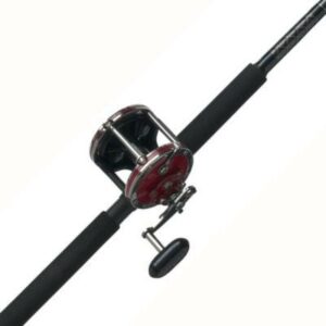 PENN Senator® Combo, 6'6" Medium Heavy Fishing Rod, 113 Size Reel