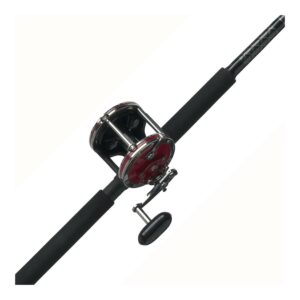 PENN Senator® Combo, 6'6" Medium Heavy Fishing Rod, 113 Size Reel