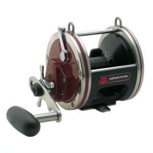 PENN Special Senator® Star Drag Reel, 114 Size Fishing Reel