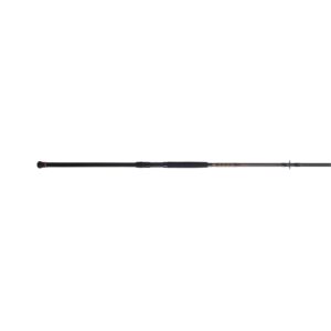 PENN Squadron® III Surf Spinning Rod, 12' Heavy Fishing Rod, 2 Piece