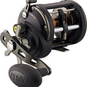 PENN Squall® II Level Wind Reel, 50 Size Fishing Reel