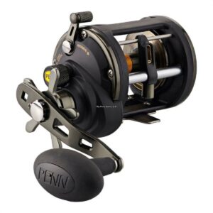 PENN Squall® II Level Wind Reel, 20 Size Fishing Reel