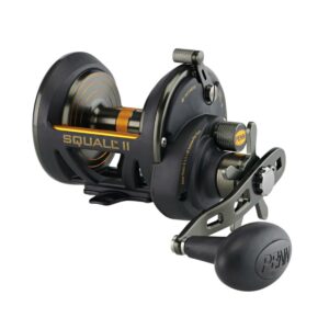 PENN Squall II Star Drag Fishing Reel, Size 30