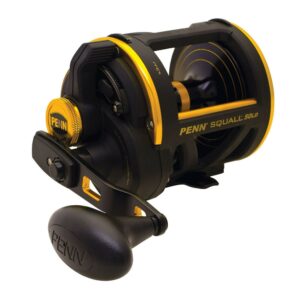 PENN Squall Lever Drag Nearshore/Offshore Fishing Reel, Size 50